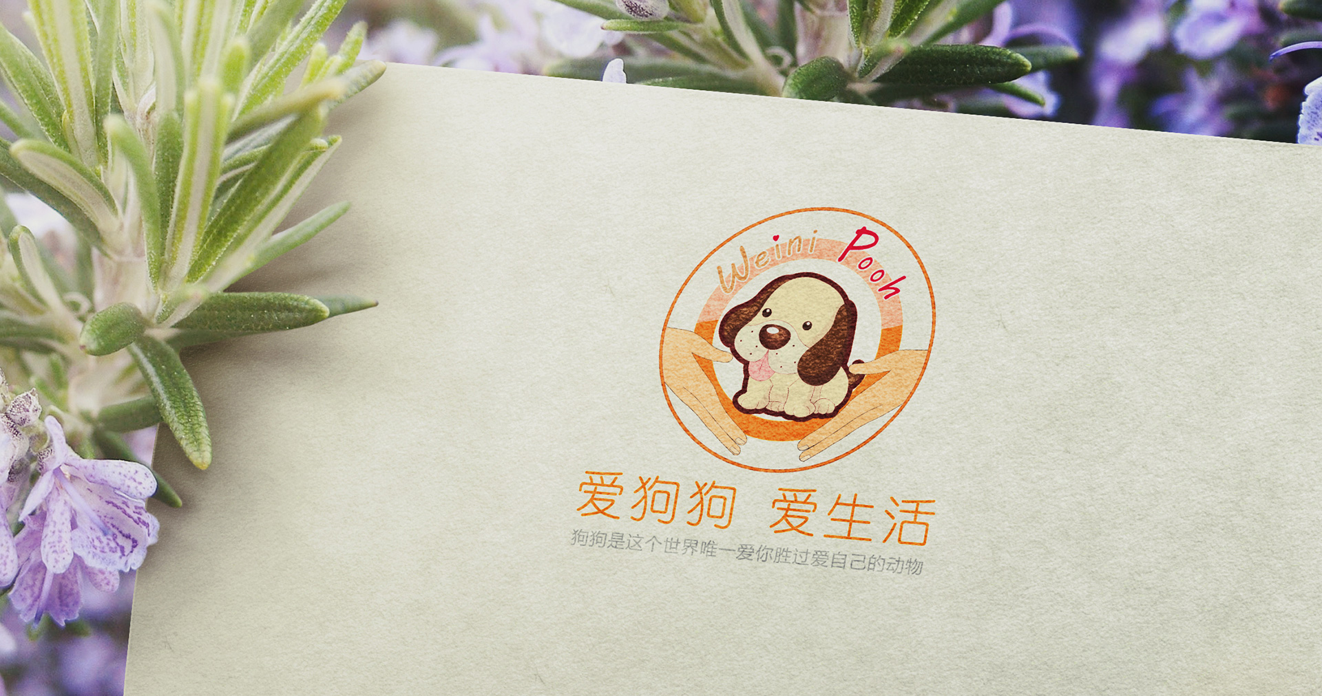 維尼狗狗會所logo設(shè)計效果圖