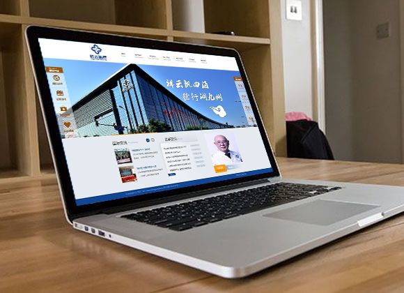 祥云醫(yī)療集團(tuán)網(wǎng)站建設(shè)案例