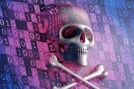 上海APP開發(fā)公司：肉雞僵尸來襲，你做好準(zhǔn)備了么？