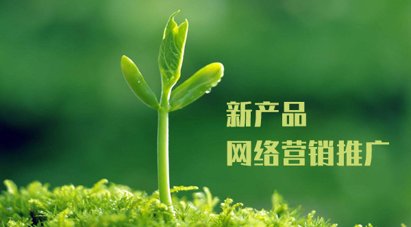新產(chǎn)品網(wǎng)絡(luò)營銷推廣