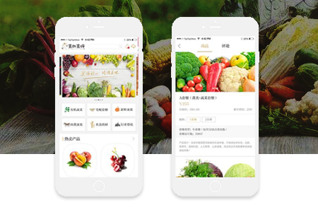 公眾號商城與微信小程序商城開發(fā)都有哪些區(qū)別？