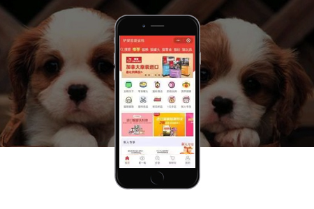 福田小程序定制開發(fā)有哪些好處？要多少錢？