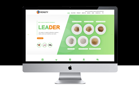 上海網(wǎng)站建設(shè)用什么語言比較好？