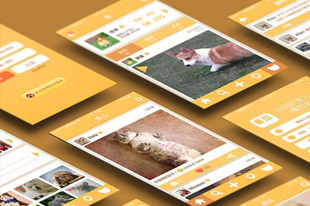 上海寵物服務(wù)預(yù)約APP開(kāi)發(fā)有哪些趨勢(shì)？