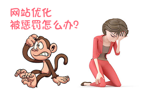 網(wǎng)站優(yōu)化如何辨別被搜索引擎懲罰？