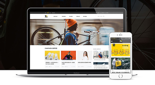 資訊門戶網(wǎng)站建設(shè)