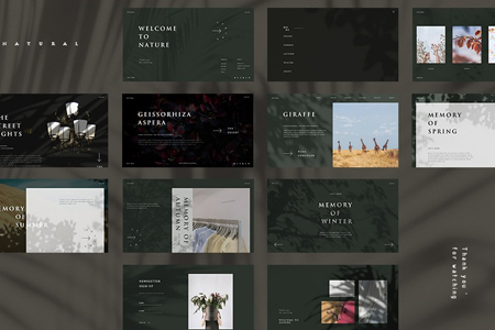 網(wǎng)站制作,上海網(wǎng)站制作公司