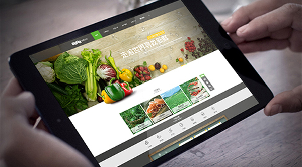 農(nóng)業(yè)網(wǎng)站建設(shè),農(nóng)產(chǎn)品網(wǎng)站制作
