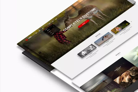 徐匯網(wǎng)站設(shè)計,徐匯網(wǎng)站制作