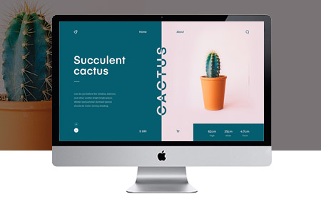 重慶網(wǎng)站制作,重慶app開發(fā)