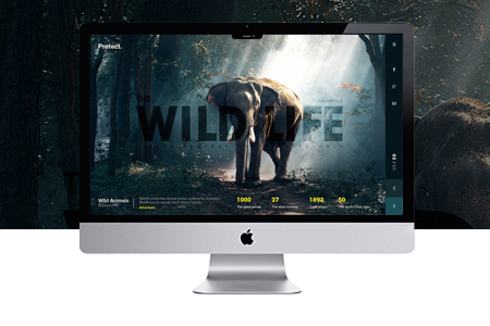 深圳網(wǎng)站建設,羅湖網(wǎng)站建設