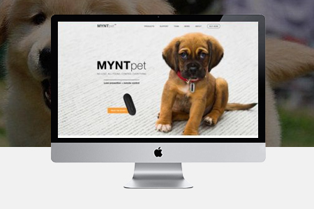 荔城網(wǎng)站建設