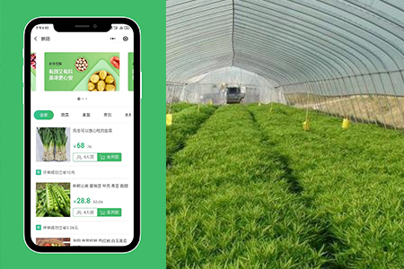 上海小程序開發(fā),農(nóng)業(yè)小程序開發(fā)