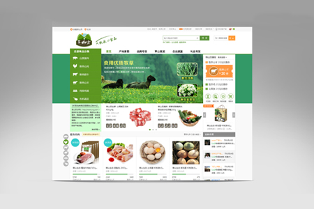 商城網(wǎng)站建設(shè),商城網(wǎng)站開發(fā),商城網(wǎng)頁設(shè)計(jì)