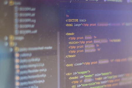 上海網(wǎng)站開發(fā),網(wǎng)站開發(fā),網(wǎng)站源代碼,網(wǎng)站著作權(quán)